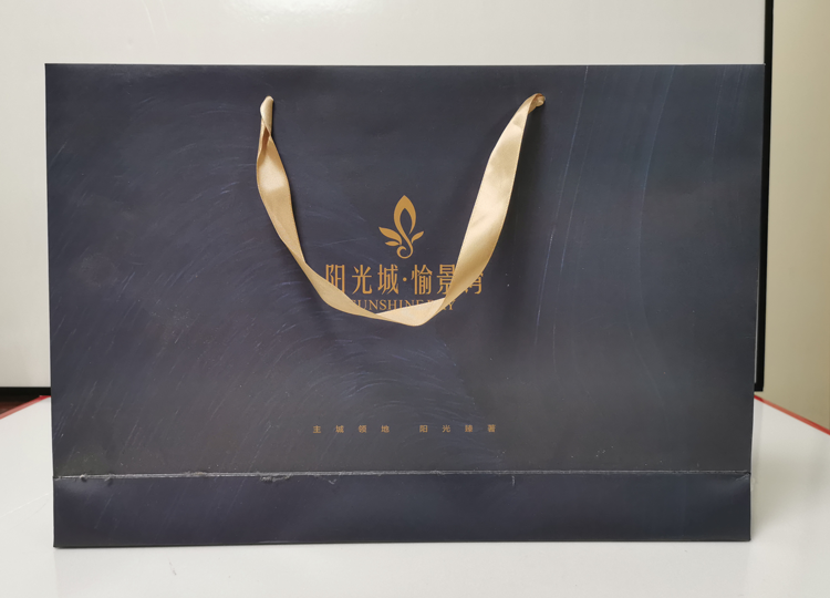 陽(yáng)光城·愉景灣-手提紙袋