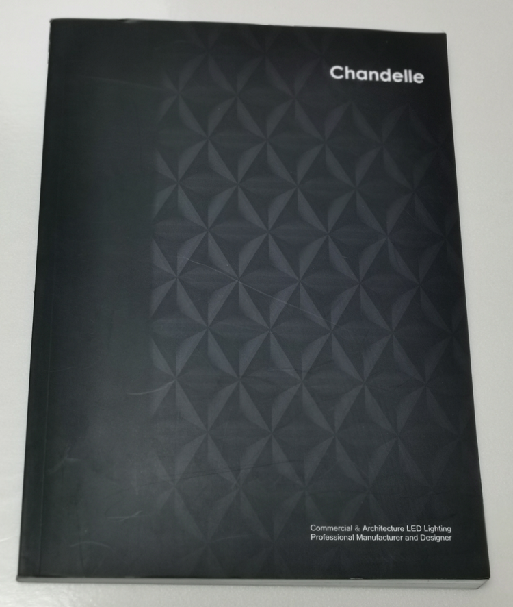 chandelle-企業(yè)英文宣傳冊